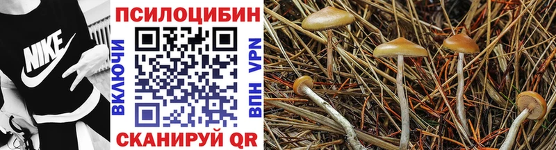 Галлюциногенные грибы мухоморы  Купить закладки  Зарайск 
