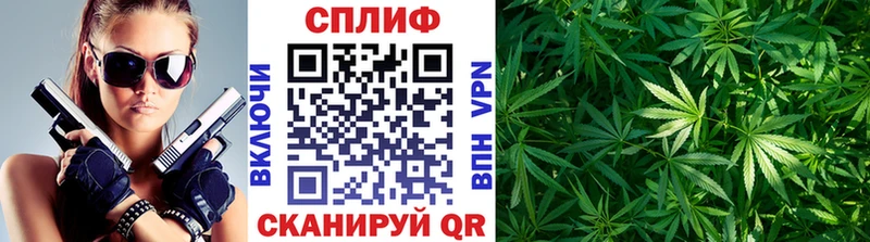 Купить где  Зарайск  Конопля марихуана 